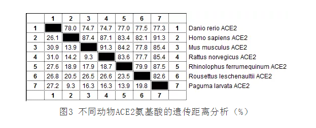 文莱海世通